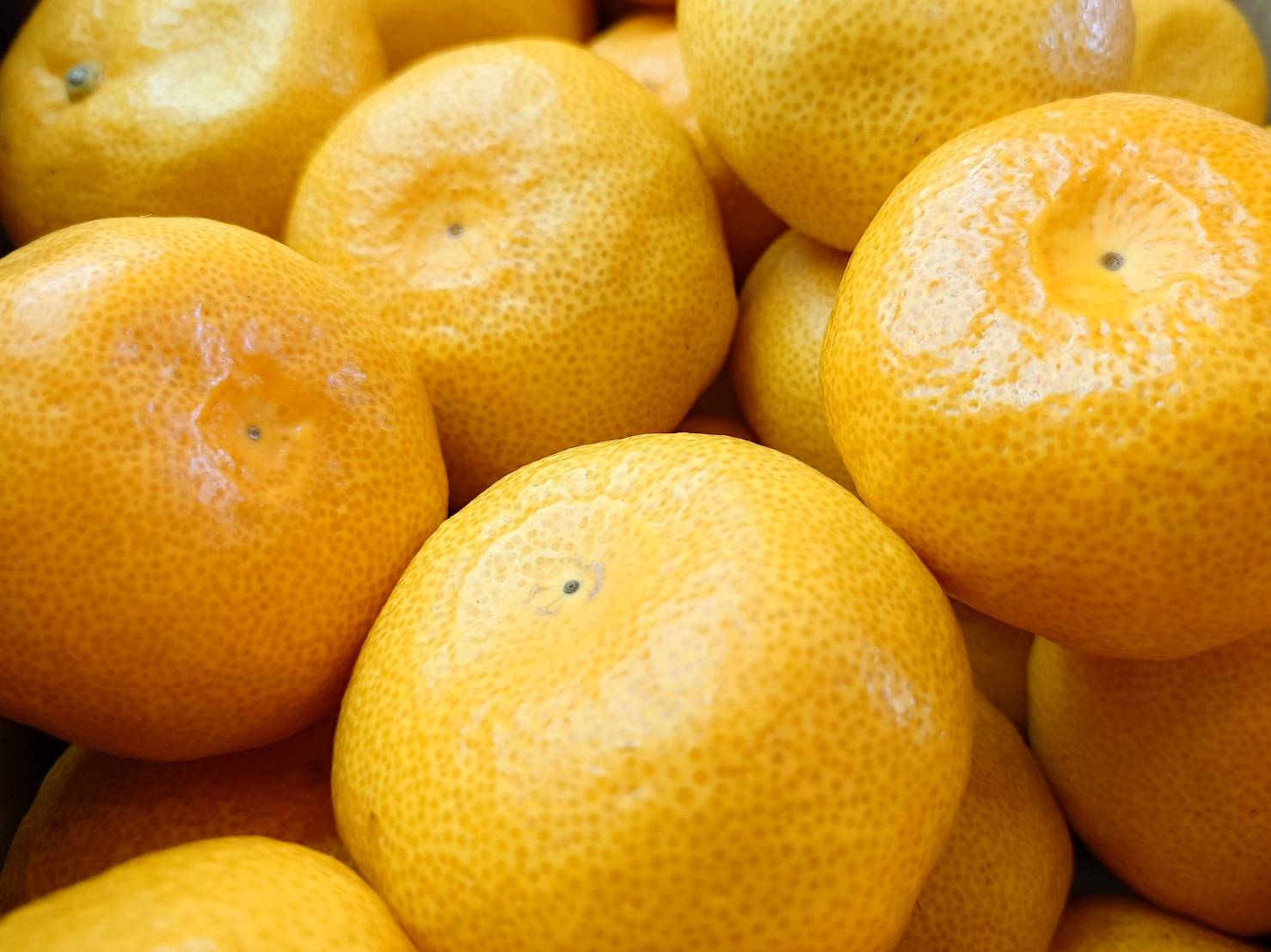 特撰みかん | トップフルーツ八百文