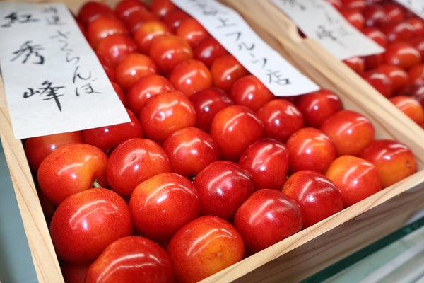 さくらんぼ「紅秀峰」