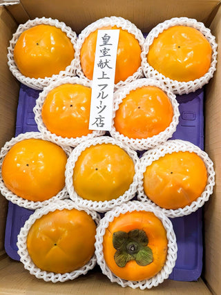 季節のおすすめ