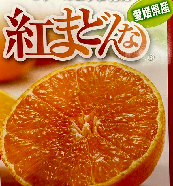 紅まどんな（紅マドンナ）｜愛媛の希少な高級柑橘