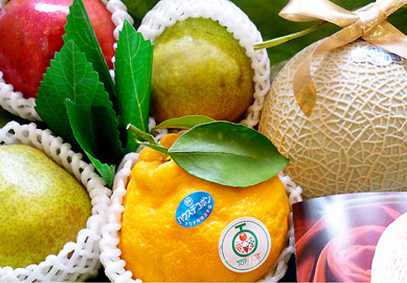 おまかせフルーツ盛り合わせセット